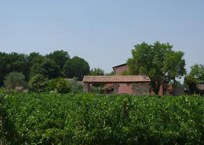 Agriturismo La Casa Del Mandorlo