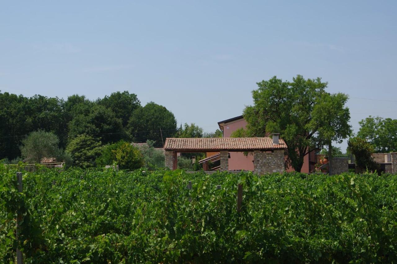 La Casa Del Mandorlo Farm stay